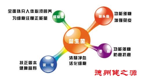 腸胃功能差，益生菌就可以解決一切